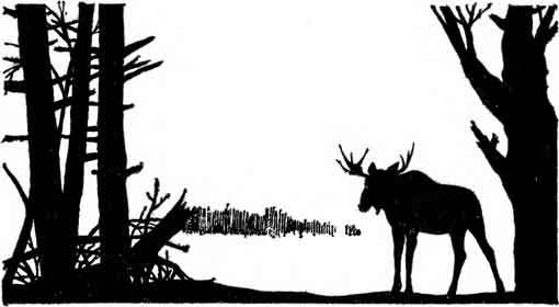 Десять баллов по Бофорту (сборник) i_015.jpg