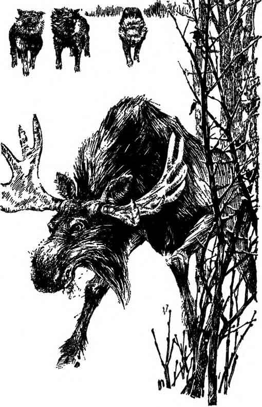 Десять баллов по Бофорту (сборник) i_016.jpg