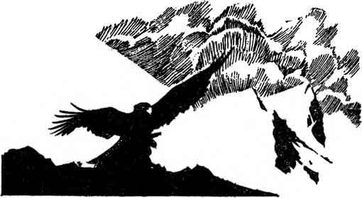 Десять баллов по Бофорту (сборник) i_018.jpg