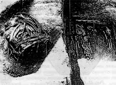Феномен Аркаима. Космологическая архитектура и историческая геодезия i_056.jpg
