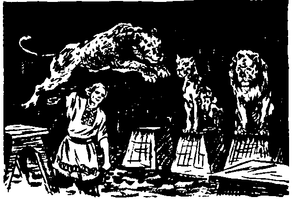 Повесть об укротителе i_008.png