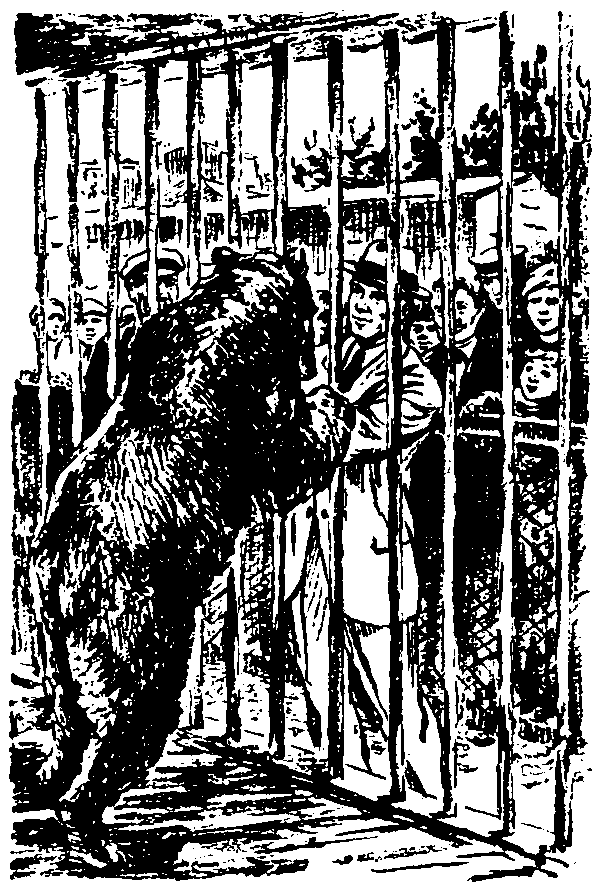 Повесть об укротителе i_010.png
