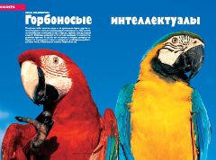 Журнал «Вокруг Света» № 11 за 2004 год any2fbimgloader8.jpeg