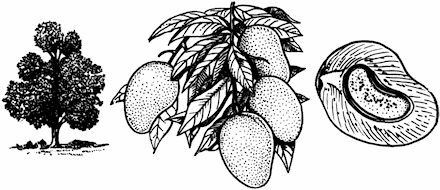 Жизнеобеспечение экипажей летательных аппаратов после вынужденного приземления или приводнения i_115.png