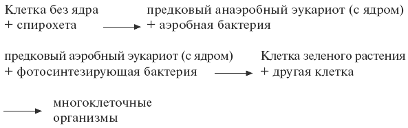 Экология: конспект лекций i_003.png