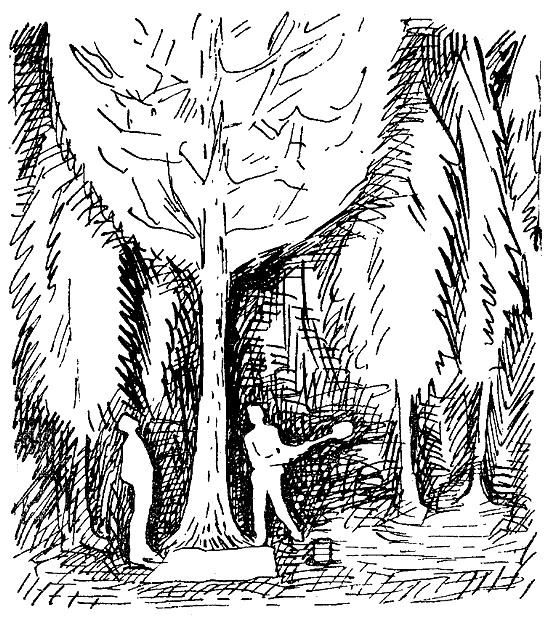 Искатель. 1969. Выпуск №3 i_004.png