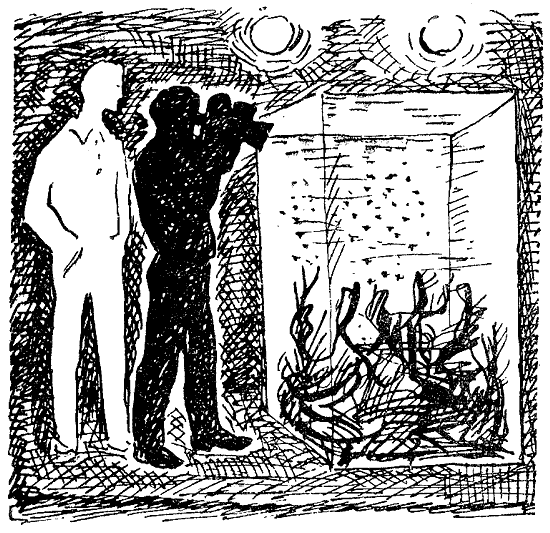 Искатель. 1969. Выпуск №3 i_005.png