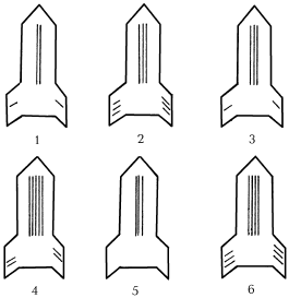 Suреrинтеллект. Интенсив-тренинг для повышения IQ _131.png