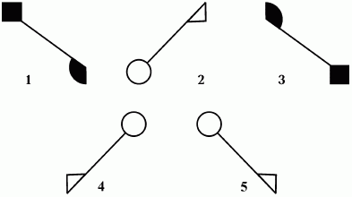 Suреrинтеллект. Интенсив-тренинг для повышения IQ _158.png