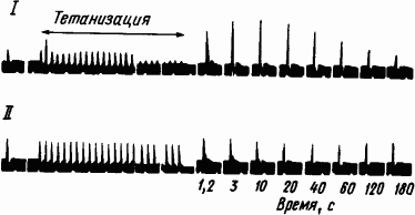 Основы физиологии высшей нервной деятельности p_029_2.png