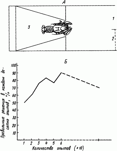 Основы физиологии высшей нервной деятельности p_112_1.png