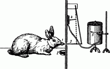 Основы физиологии высшей нервной деятельности p_137_1.png