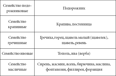 Аллергия. Лучшие рецепты народной медицины от А до Я _04.png