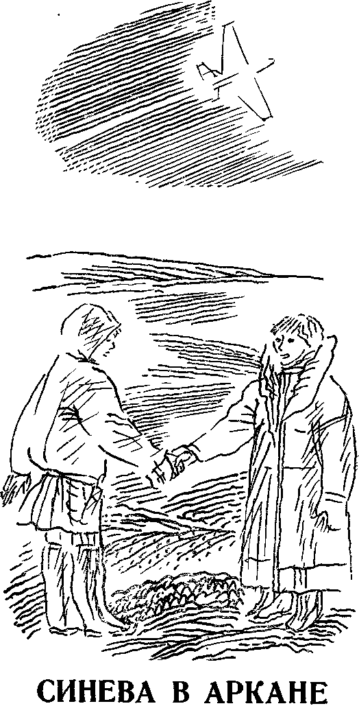 Метели ложатся у ног image015.png