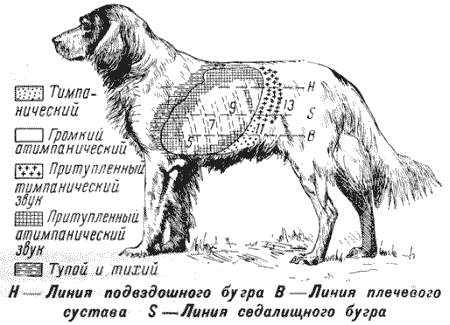 Болезни собак  i_011.png