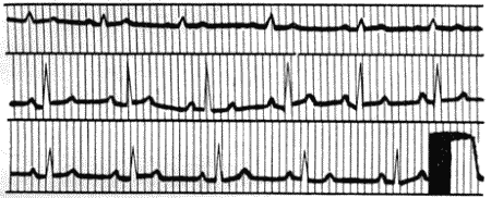 Болезни собак  i_007.png