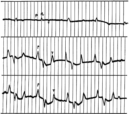 Болезни собак  i_009.png
