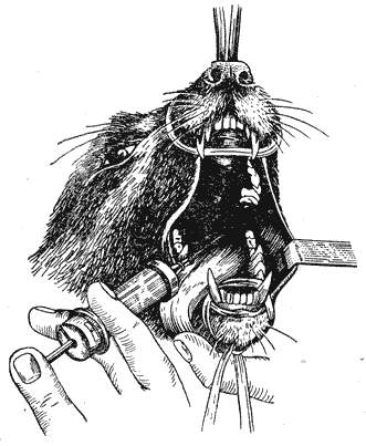 Болезни собак  i_072.png