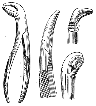 Болезни собак  i_073.png