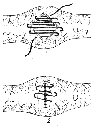 Болезни собак  i_095.png