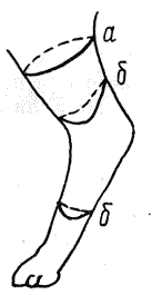 Болезни собак  i_115.png