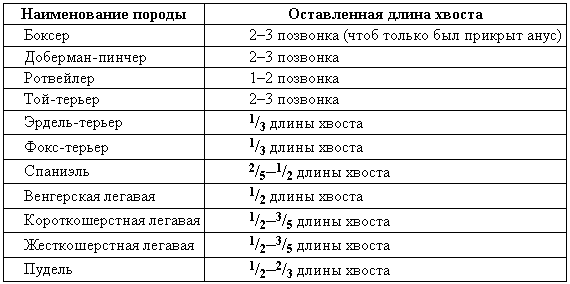 Болезни собак i_116.png