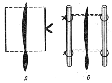 Болезни собак  i_134.png