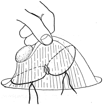 Болезни собак  i_164.png