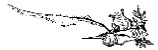 Литературная Газета  6259 ( № 55 2010) TAGhttp___www_lgz_ru_userfiles_image_05_6260_2010_24-1_jpg449602