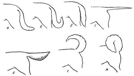Справочная книга по собаководству i_008.png