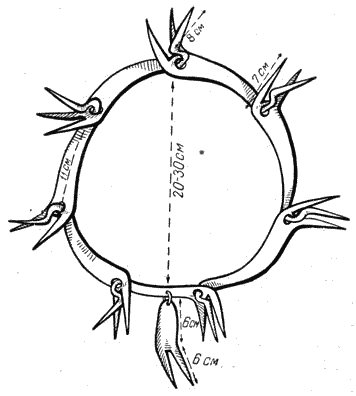 Справочная книга по собаководству i_073.png