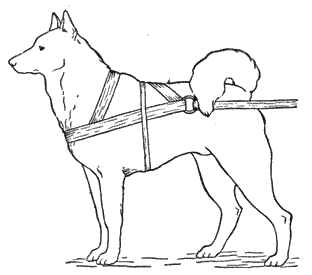 Справочная книга по собаководству i_079.png