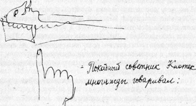 Паноптикум Города Пражского img_146.jpeg