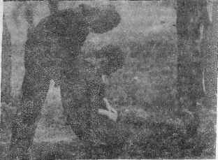 В гармонии со вселенной i_197.jpg