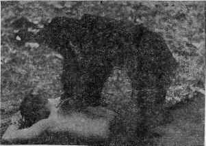 В гармонии со вселенной i_202.jpg