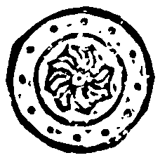 Я — легионер. Рассказы img10.png