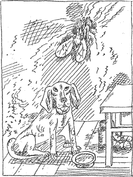 Дядя Митя — Айболит i_003.png