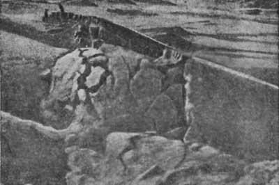 Великие катастрофы в истории Земли i_026.jpg