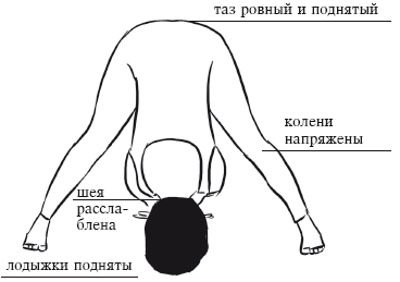 Йога и секреты долголетия i_067.png