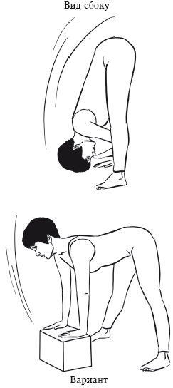 Йога и секреты долголетия i_068.png
