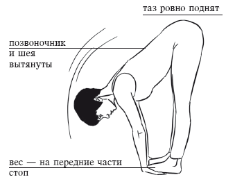 Йога и секреты долголетия i_074.png