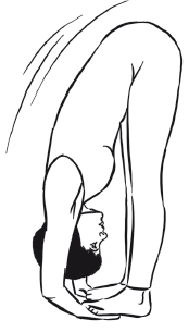 Йога и секреты долголетия i_075.png