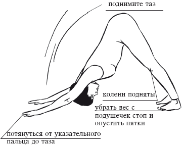 Йога и секреты долголетия i_079.png
