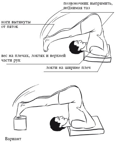 Йога и секреты долголетия i_080.png