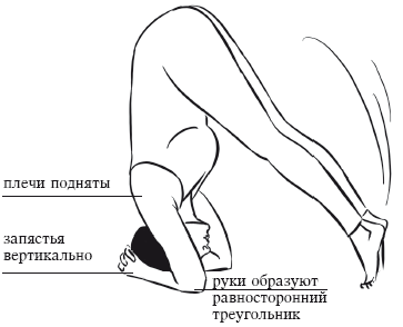 Йога и секреты долголетия i_083.png
