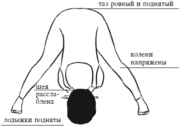 Йога и секреты долголетия i_127.png