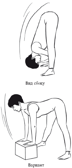 Йога и секреты долголетия i_128.png