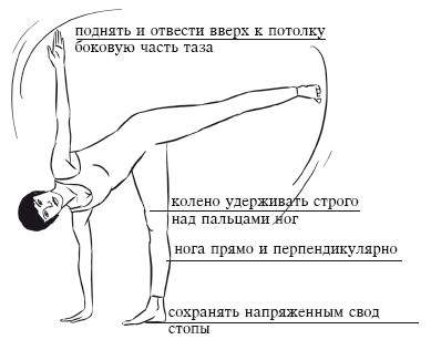 Йога и секреты долголетия i_129.png