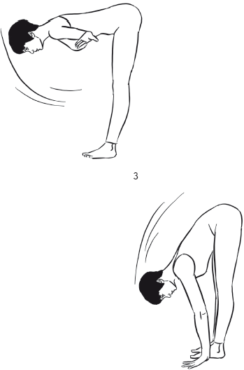 Йога и секреты долголетия i_014.png