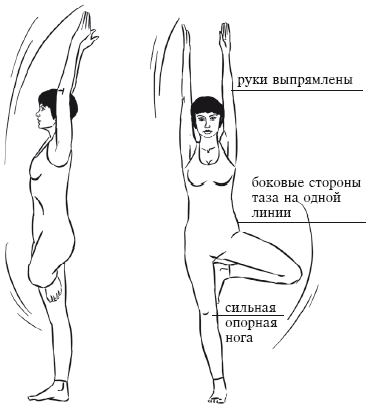 Йога и секреты долголетия i_020.png